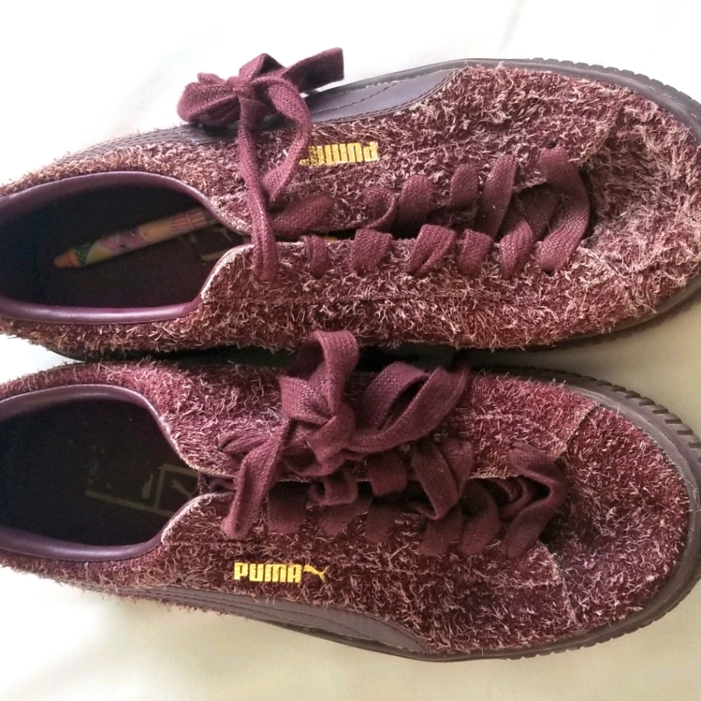 Pumas
